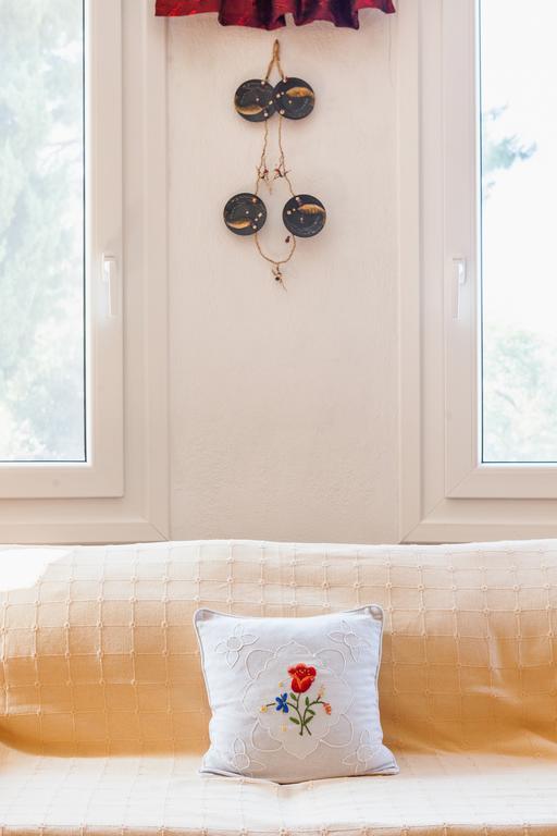 Aloni Villa Bandar Skopelos Bilik gambar
